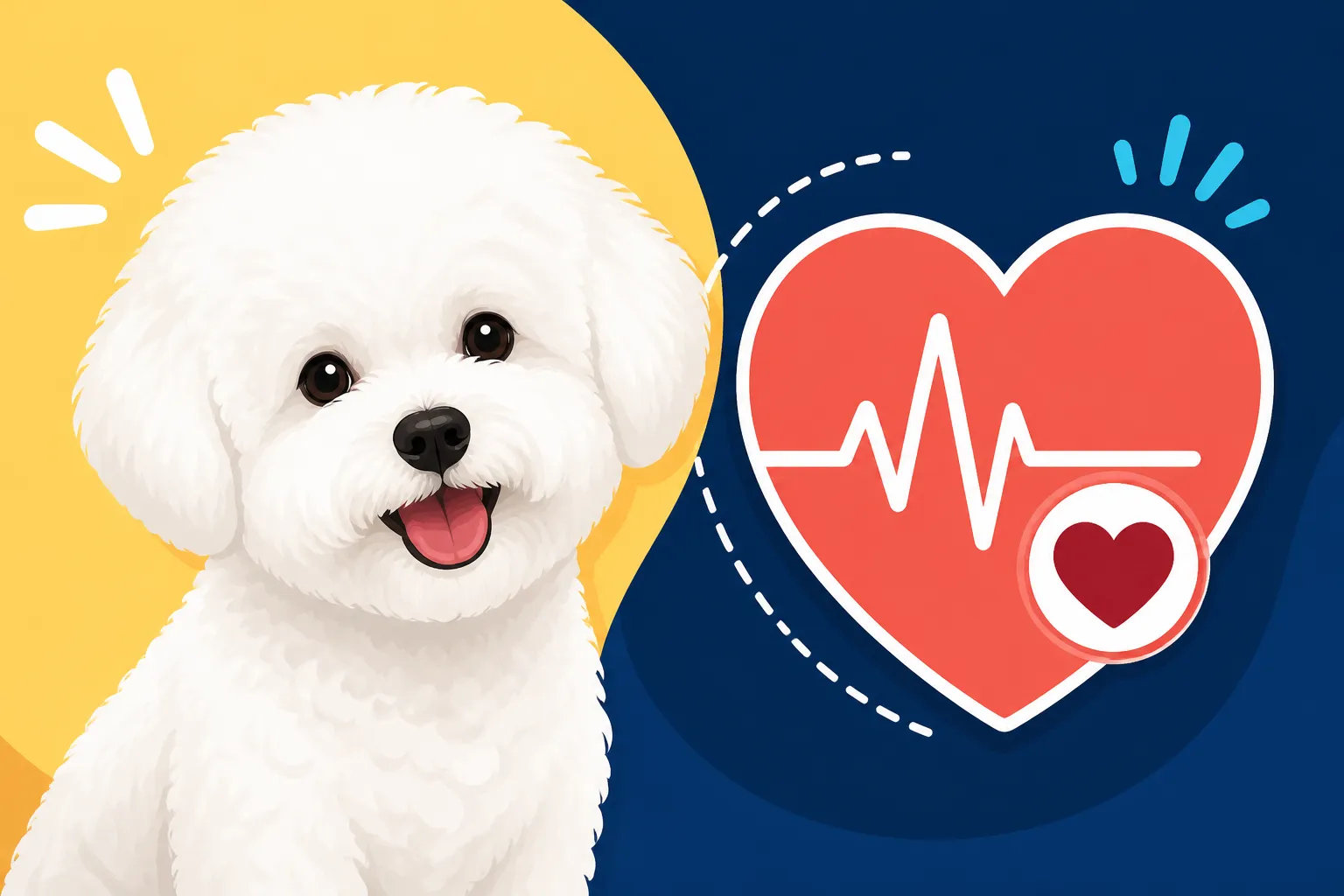 Whether a Bichon Frise Gets a Heart Murmur
