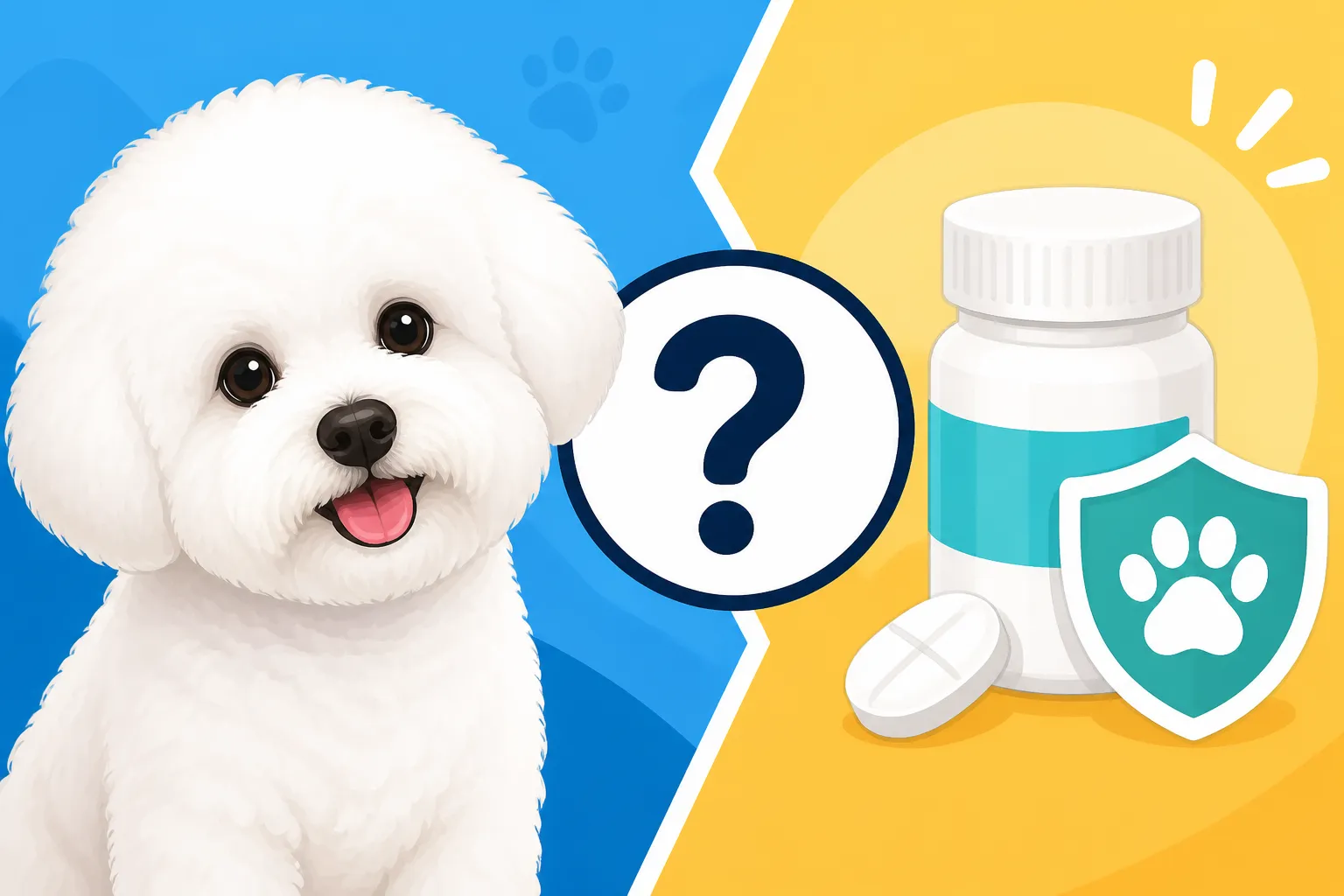 Whether a Bichon Frise Can Take Apoquel Instead