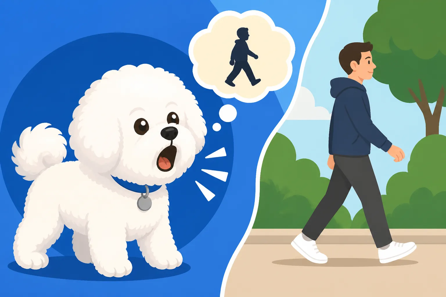 Whether a Bichon Frise Barks at Every Passerby