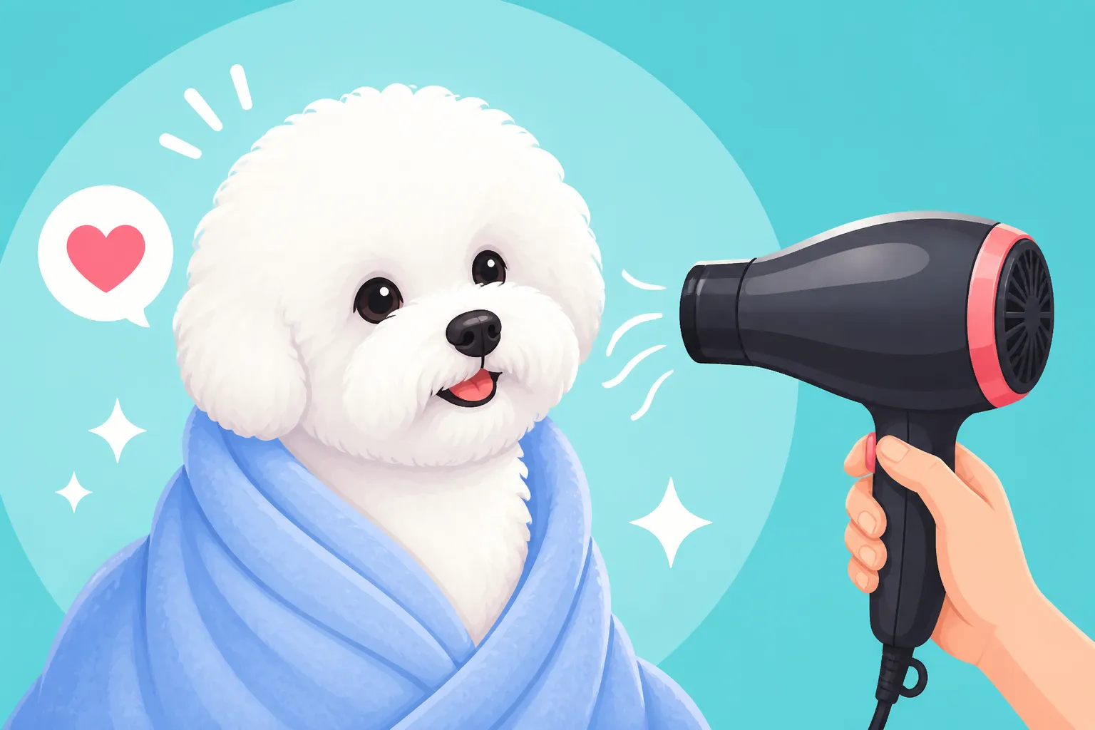 Teaching a Bichon Frise to Accept a Dryer